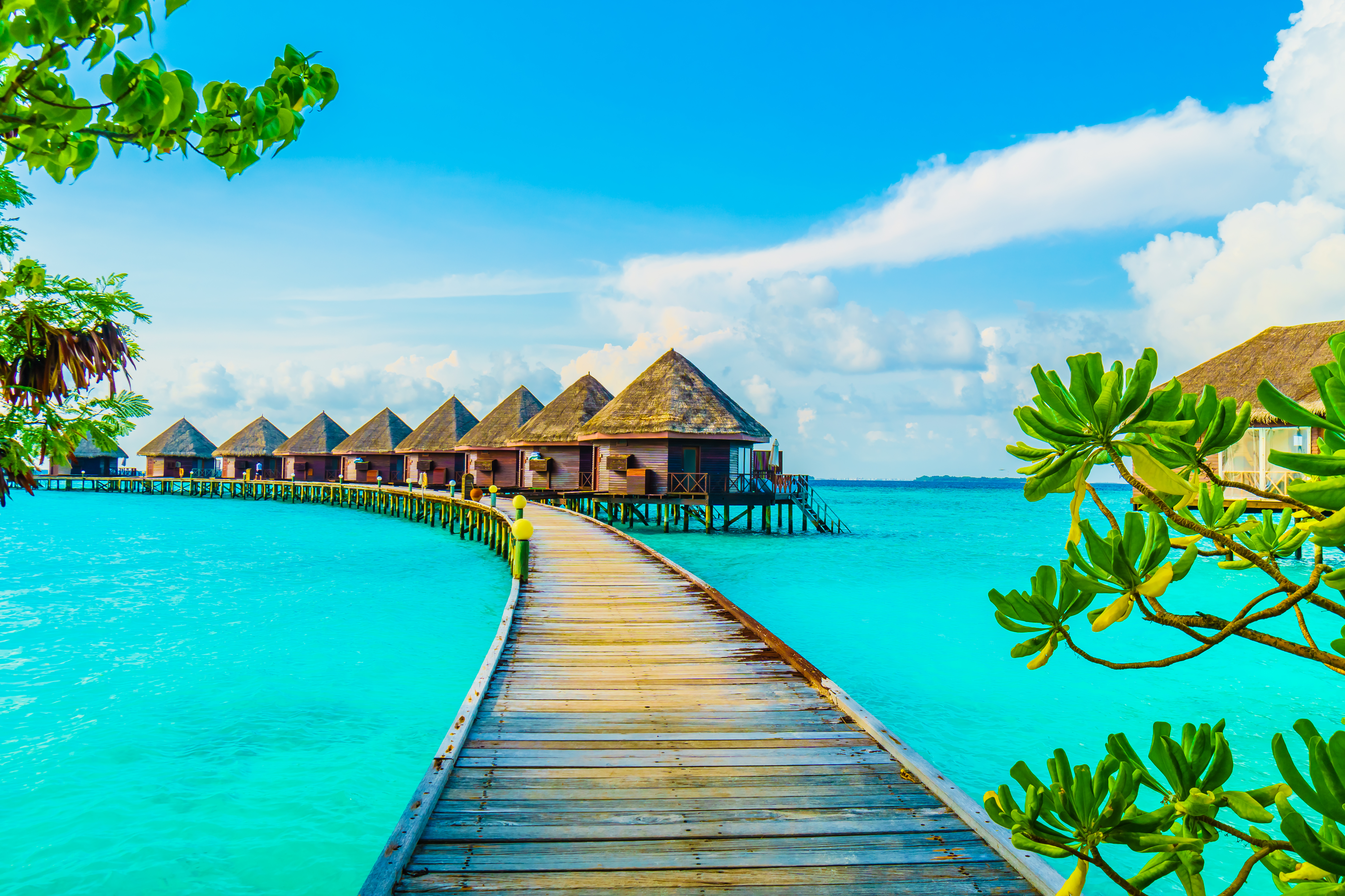 banner-image